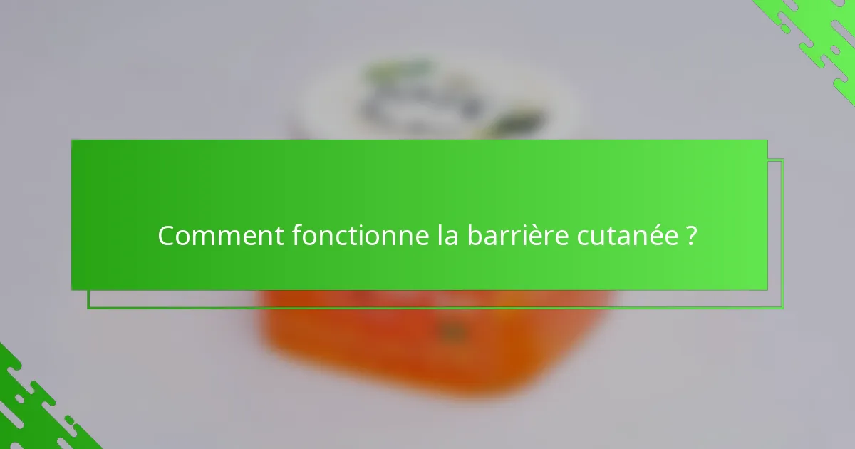 Comment fonctionne la barrière cutanée ?