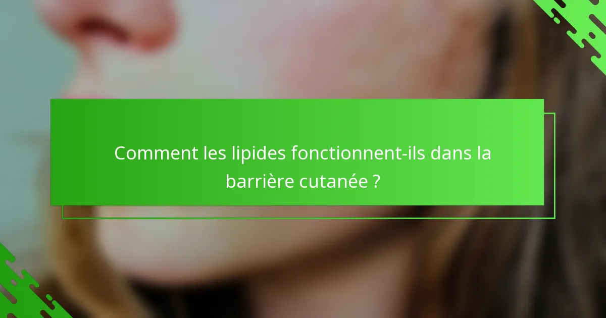 Comment les lipides fonctionnent-ils dans la barrière cutanée ?
