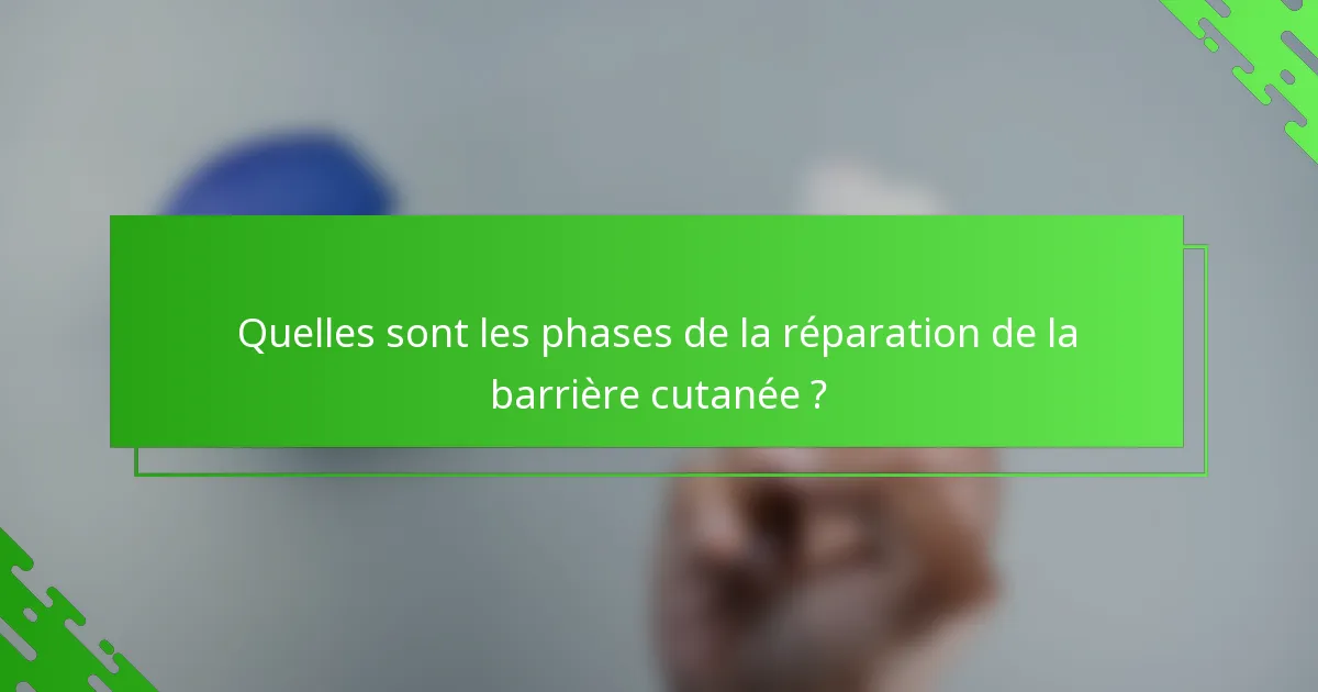 Quelles sont les phases de la réparation de la barrière cutanée ?