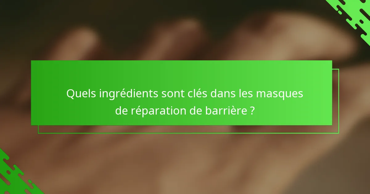Quels ingrédients sont clés dans les masques de réparation de barrière ?